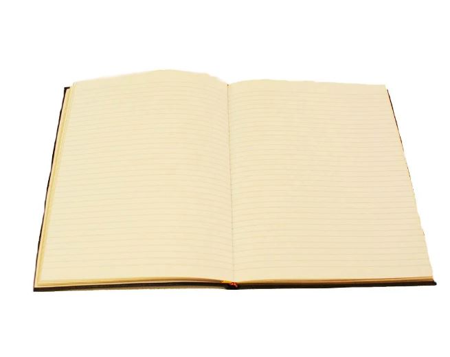 Leather Book with Gold on Cover | 10 by 8 inches | Blank Pages | Charing Cross