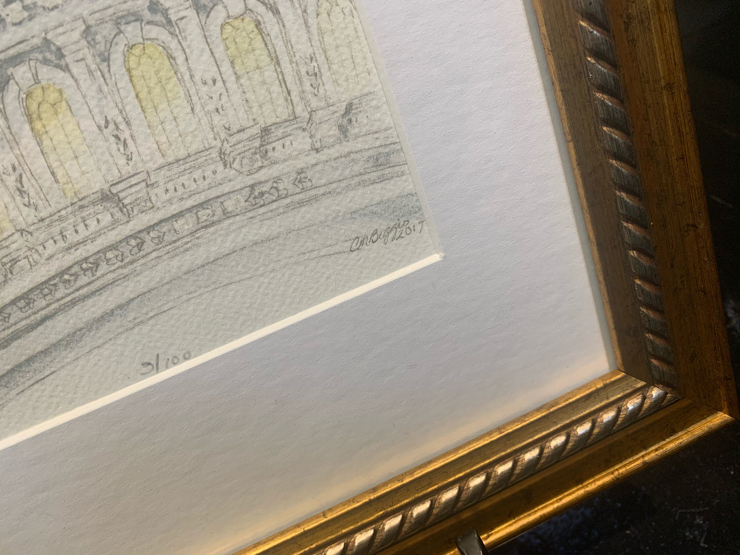 Capitol Art | Capitol Flag II | Framed and Signed Limited Edition Giclée Print | Carole Moore Biggio | 10 by 8 Inches