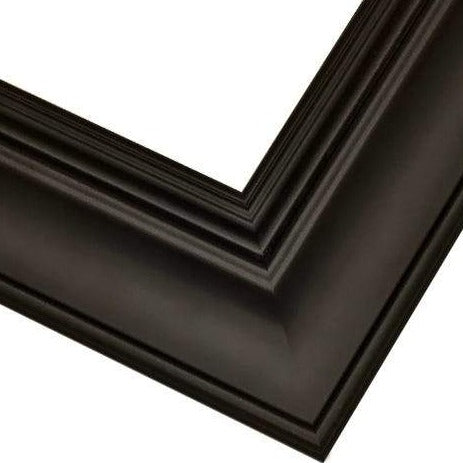 Suggestions for Bespoke Awards for NBOME | Awards Framed in Gold & Silver Leaf and Black & Brown Wood