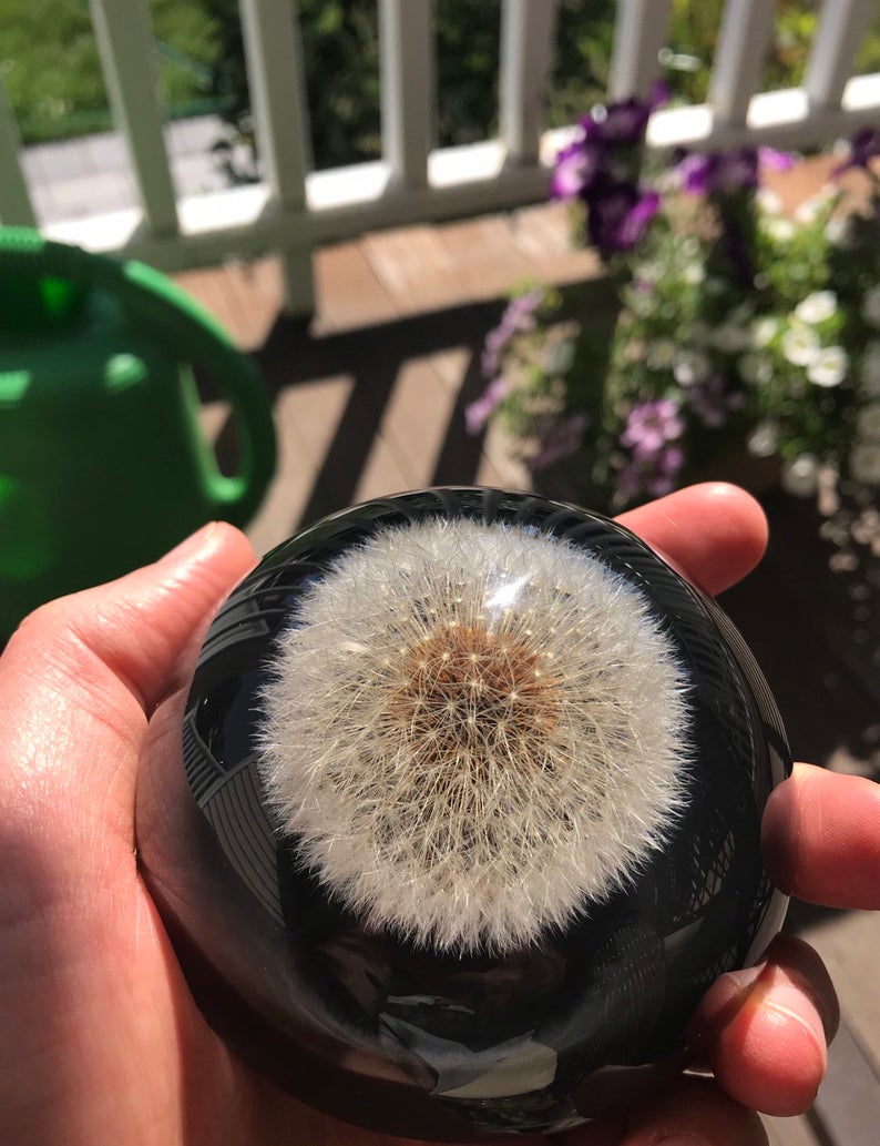 Paperweight Half Circle with Dandelion | Half Round Glass Paperweight | Handmade in USA
