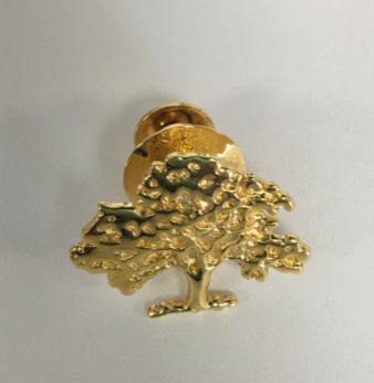 Custom Designed Lapel Pin | Sample Donor Pin | 24k Gold Plate | 3D Lapel Pin | High Quality | Beautiful Presentation | Made in USA-Lapel Pin-Sterling-and-Burke