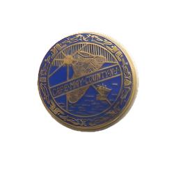 Custom Designed Lapel Pin | Custom Designed Badge | Sample Pins | 24k Gold Plate | Hand Coloured Enamel Pins | High Quality | Beautiful Presentation | Made in USA-Lapel Pin-Sterling-and-Burke