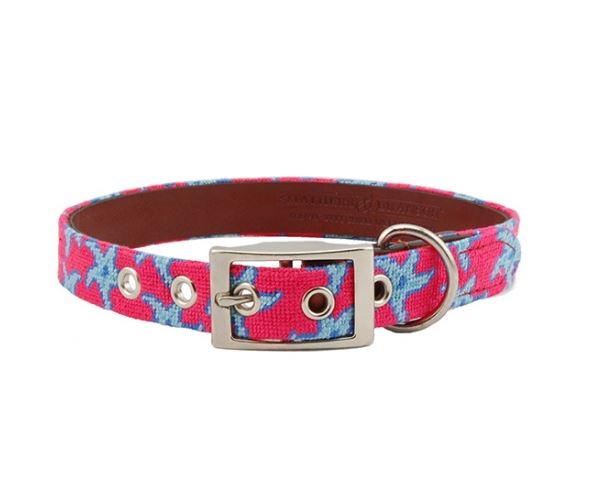 Needlepoint Dog Collar | Custom Size | Coastal Collection | Starfish Needlepoint Dog Collar