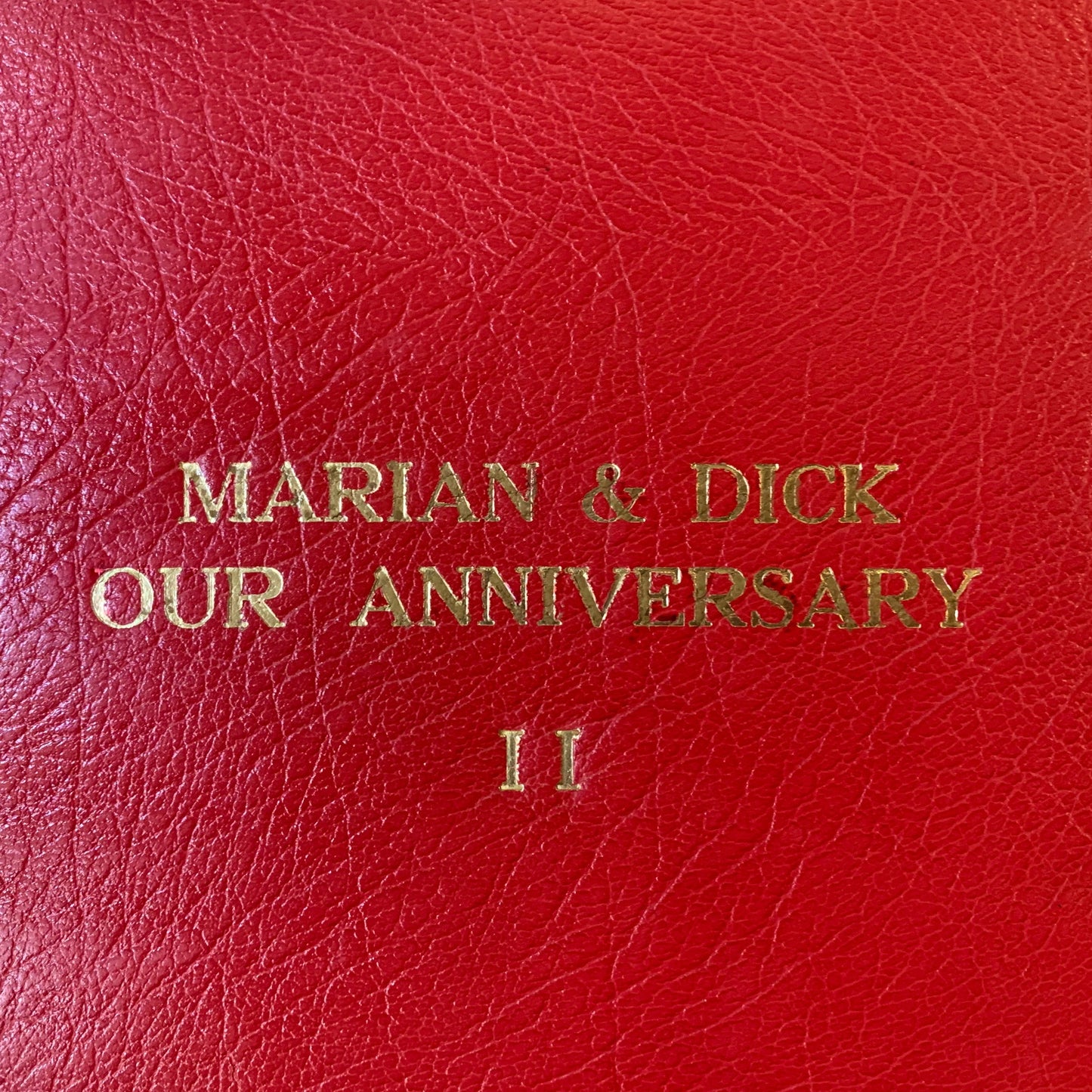 Leatherbound Photo Album | Embossed Calf Leather | Thick Pages | 10" x 12" | Horizontal | No.PA3A
