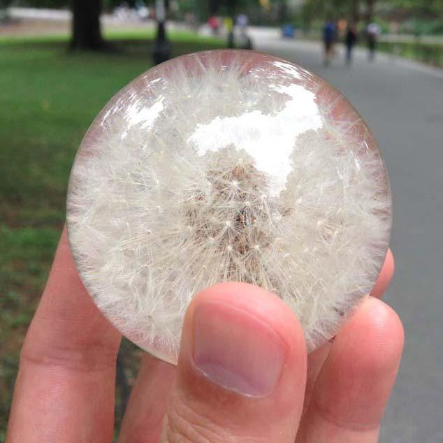 Paperweight Sphere with Dandelion | Round Glass Paperweight | Engraved | Handmade in USA