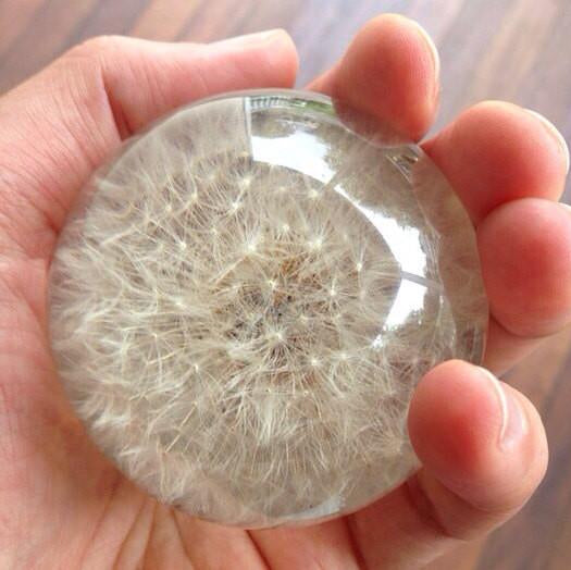 Paperweight Sphere with Dandelion | Round Glass Paperweight | Engraved | Handmade in USA