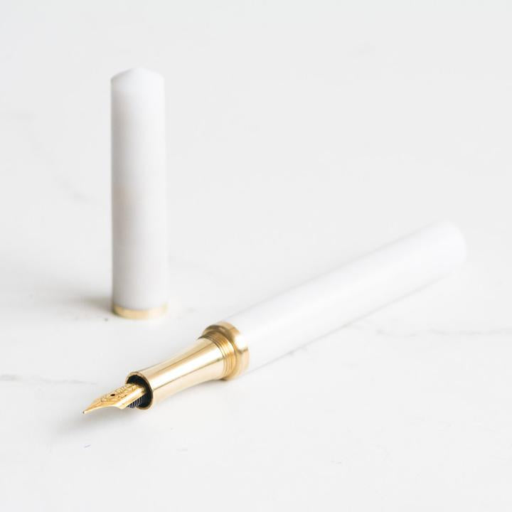Fabulous Fountain Pen Attachment ~ Flexible Nib, Extra Fine, Medium and Broad Nibs are possible