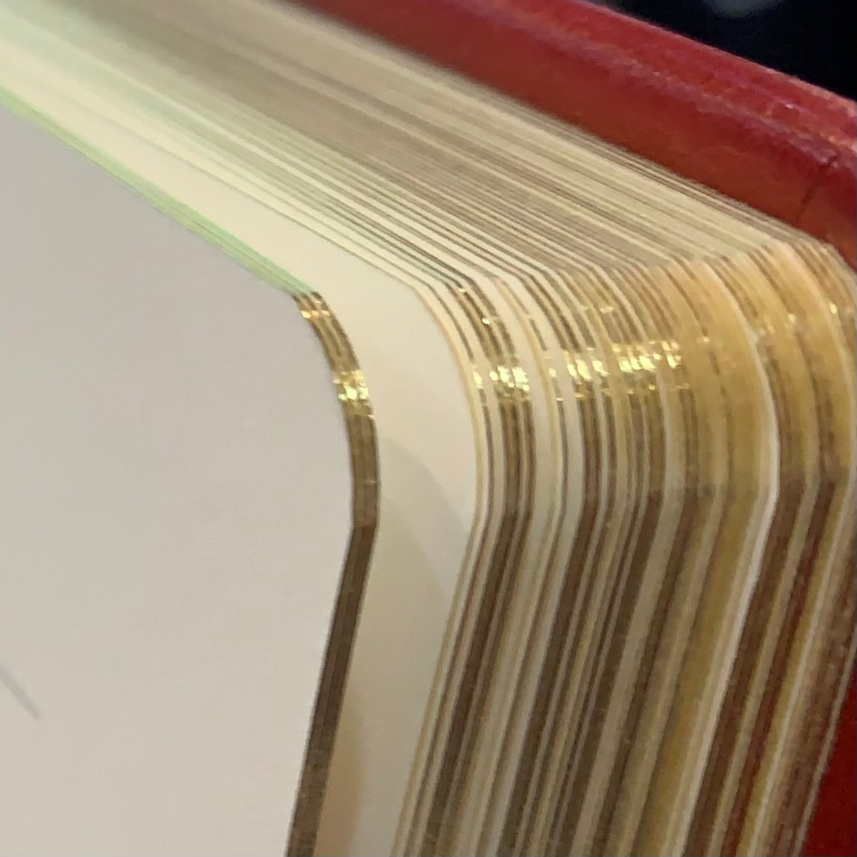 Journal Book | Hand Made in USA | 9.25 by 7 Inches | Soft Cover with Soft Goat Leather | Gilt Edges | Scarlet Red