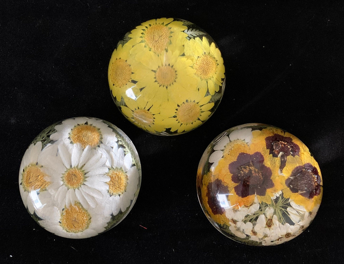 Paperweight Custom with Flower Petals | Half Sphere Resin Paperweight | Leather Bottom with Message | Handmade in USA