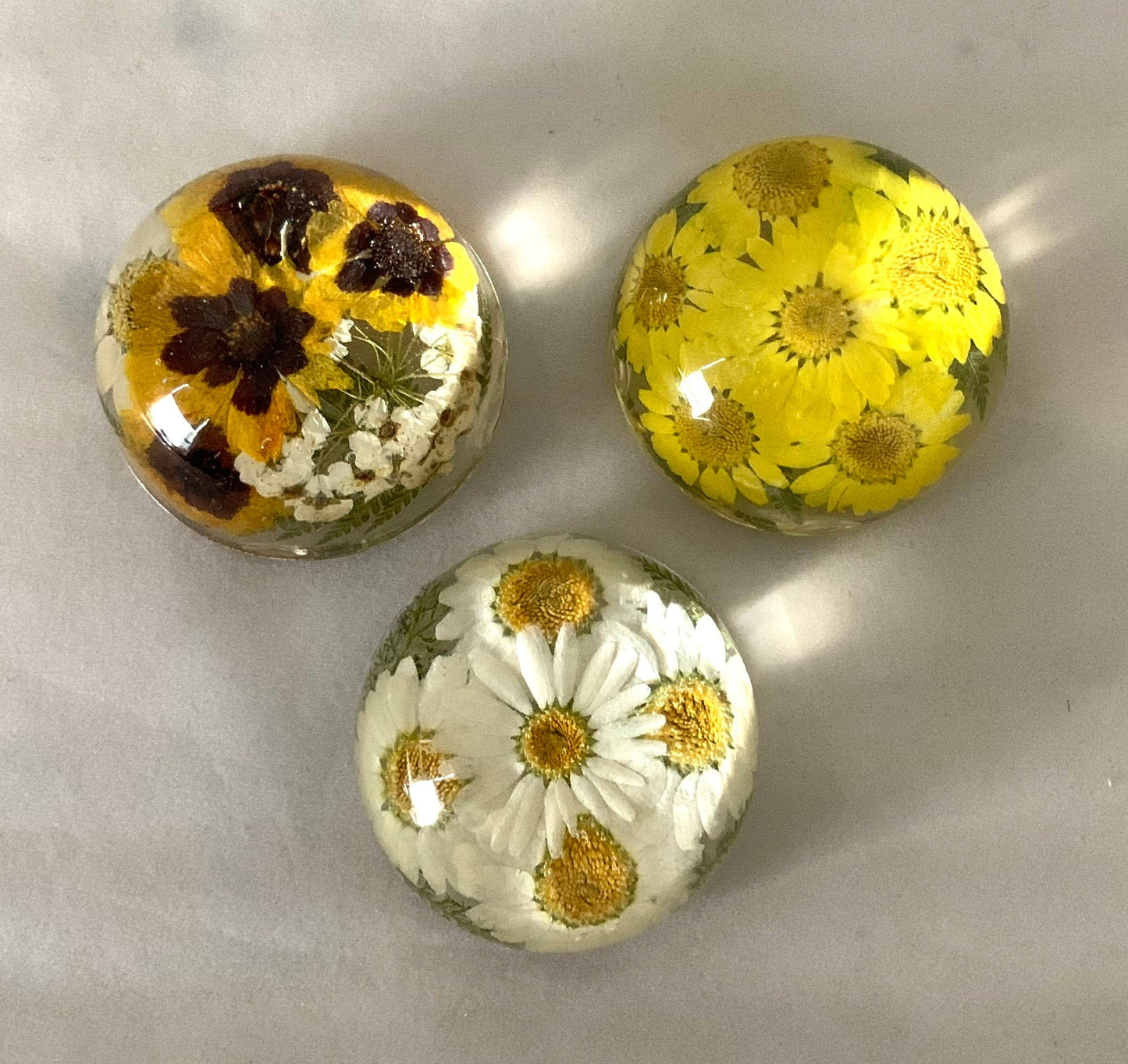 Paperweight Custom with Flower Petals | Half Sphere Resin Paperweight | Leather Bottom with Message | Handmade in USA