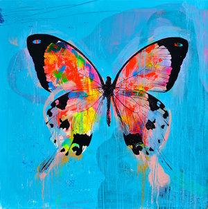 BESPOKE ORDER | Butterfly Pop Art | Original Painting on Canvas | Day Dreaming Flyer | 51 by 51 inches | Artist: Shane Bowden-Art | Custom Painting-Sterling-and-Burke