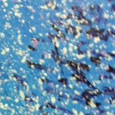 Stango Gallery: Christmas Holiday | Christmas Painting | Gallery at Studio Burke, Washington, DC