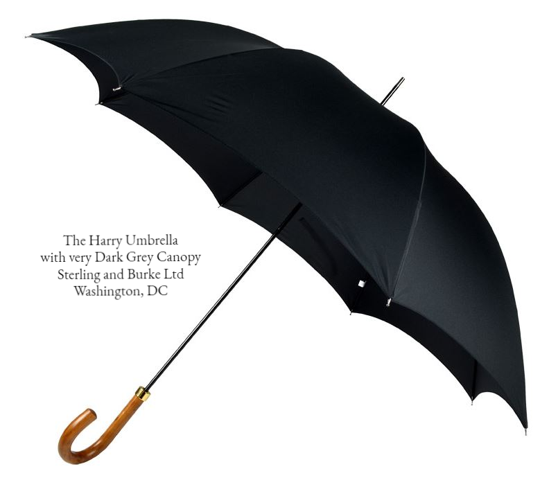 The Harry Umbrella | A Gentleman's Royal Umbrella | Malacca Handle Tube Umbrella used by Prince Harry | Matches with The Meghan Umbrella | Dark Grey Canopy | Made in England | Sterling and Burke-Gent's Umbrella-Sterling-and-Burke