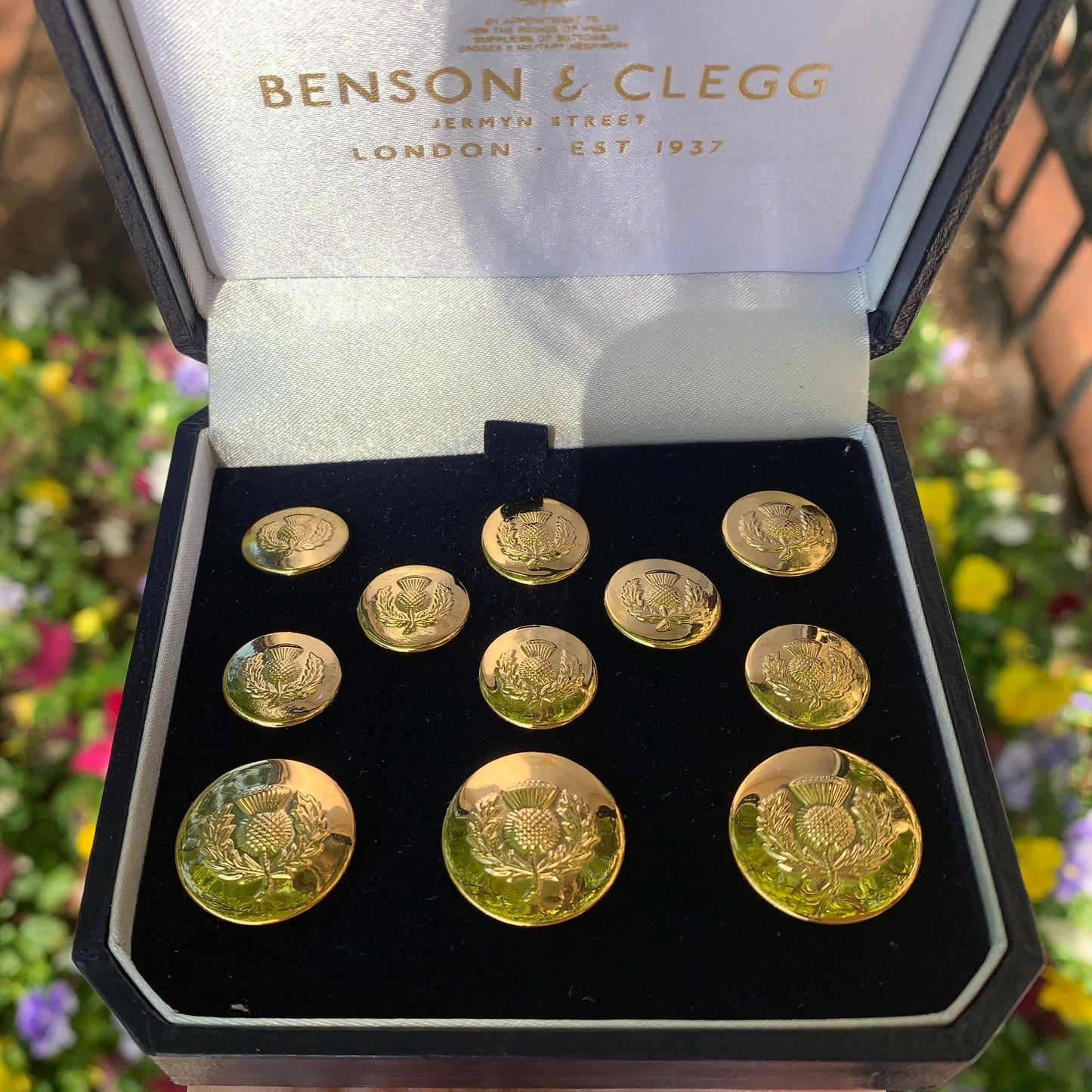 Scottish Thistle Blazer Buttons | Gold Plated Blazer Buttons | Made in England