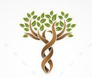 Tree Logos for Wedding Invitation | Wedding Motif | Tree Branches Design for Engraved Stationery-Graphic Art-Sterling-and-Burke