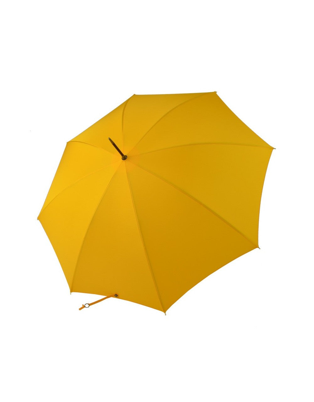 Ladies Malacca Umbrella | Metal Tube Shaft | Elegant English Umbrella | The Burke Umbrella