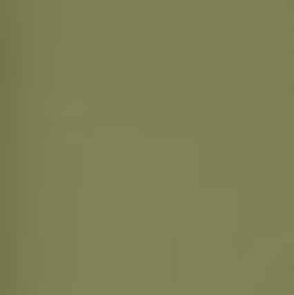Burke Umbrella | Chestnut Straight Handle Golf Umbrella | Custom Solid Colors