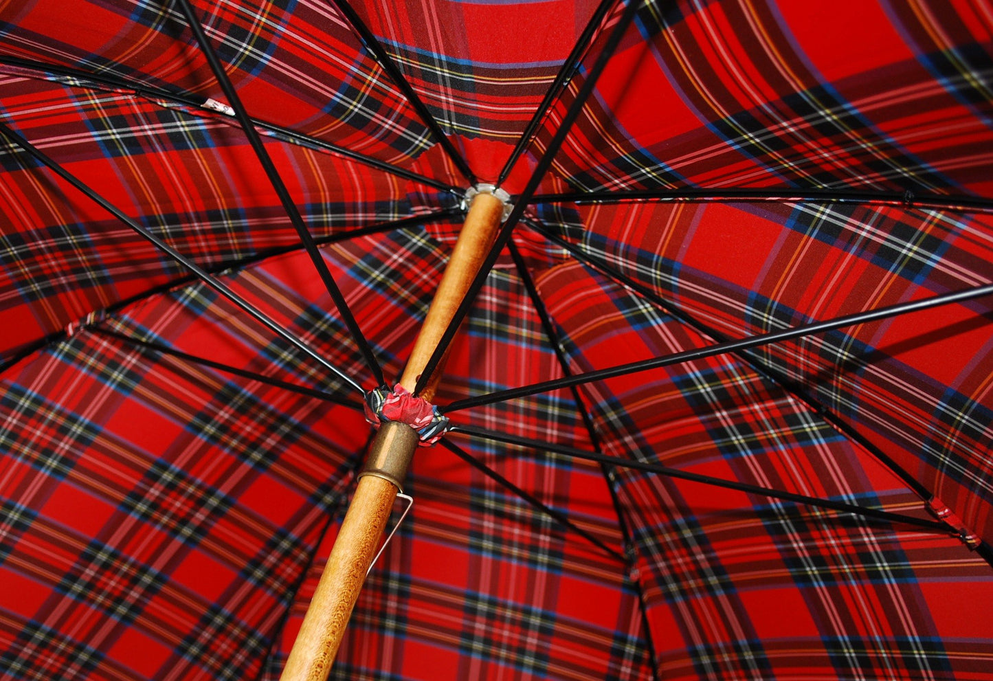 Malacca Prince of Wales Umbrella | Sterling Nose Cap and Collar | Finest Quality English Umbrella | The Original Prince of Wales Umbrella