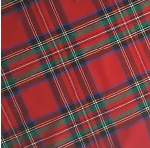 Burke Umbrellas | Malacca Prince of Wales Umbrella with Tartan Canopy | Sterling Nose Cap and Collar | The Original Prince of Wales Umbrella