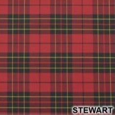 Burke Umbrellas | Malacca Prince of Wales Umbrella with Tartan Canopy | Sterling Nose Cap and Collar | The Original Prince of Wales Umbrella