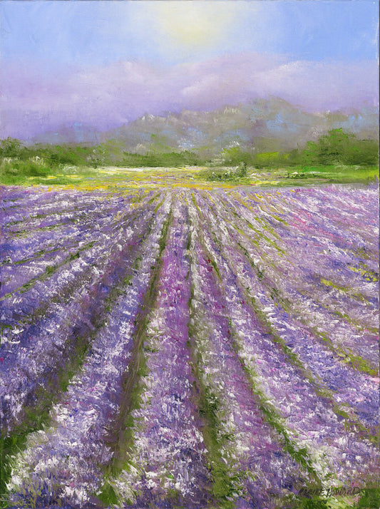 Art | Lavender Fields of Provence | Original Oil Painting by Claire Howard | 24" x 18"-Oil Painting-Sterling-and-Burke