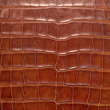 Authentic American Alligator Zip Portfolio | Hand Made in America | Custom Production
