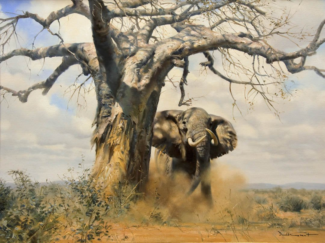 Antique Oil Painting | Elephant and Baobab Tree c. 1975 by Donald Grant | 36" by 46"-Oil Painting-Sterling-and-Burke