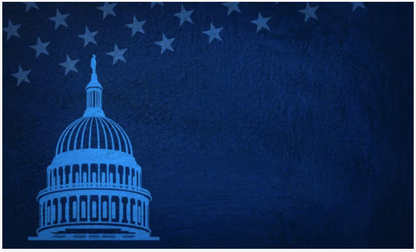 US Capitol Building Vectorized Art Offerings for Award Options | Washington, DC Capitol