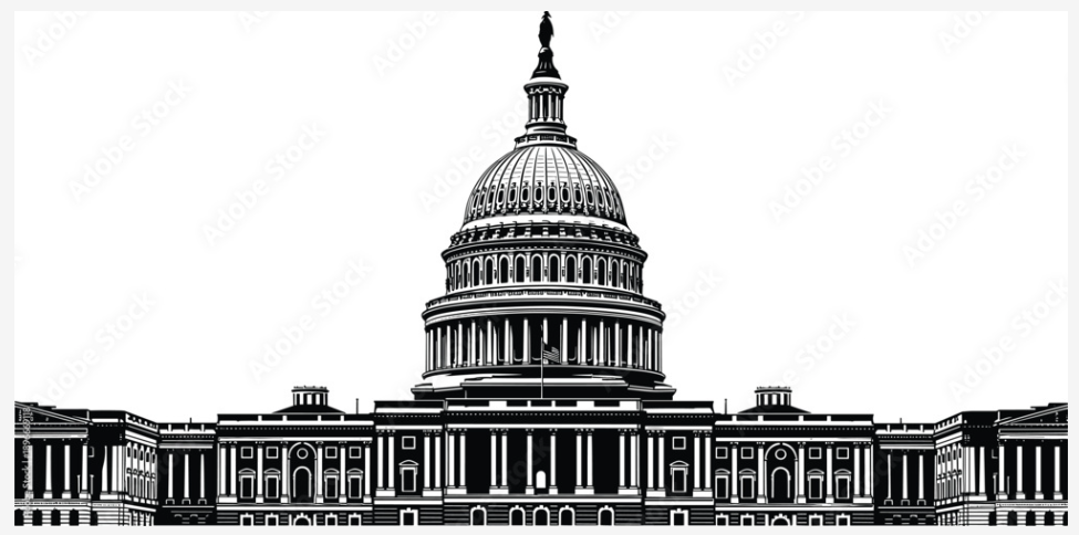 US Capitol Building Vectorized Art Offerings for Award Options | Washington, DC Capitol