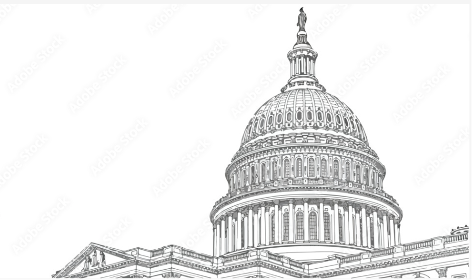 US Capitol Building Vectorized Art Offerings for Award Options | Washington, DC Capitol