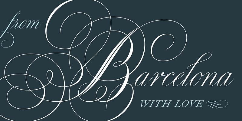 Fonts Styles | Sterling & Burke DC | Engraved Stationery Type Face Offerings | Custom Italic Calligraphic Fonts