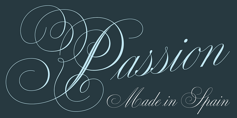 Fonts Styles | Sterling & Burke DC | Engraved Stationery Type Face Offerings | Custom Italic Calligraphic Fonts
