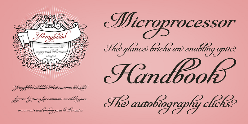 Fonts Styles | Sterling & Burke DC | Engraved Stationery Type Face Offerings | Custom Italic Calligraphic Fonts