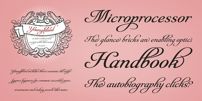 Fonts Styles | Sterling & Burke DC | Engraved Stationery Type Face Offerings | Custom Italic Calligraphic Fonts