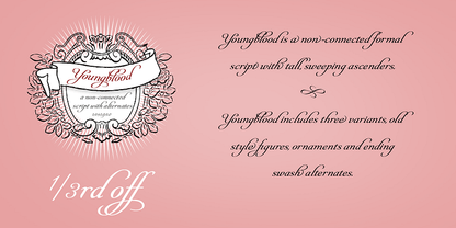 Fonts Styles | Sterling & Burke DC | Engraved Stationery Type Face Offerings | Custom Italic Calligraphic Fonts