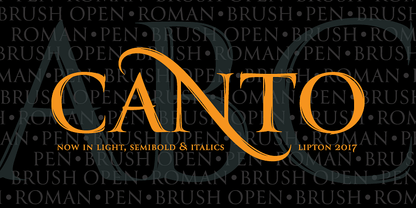 Fonts Styles | Sterling & Burke DC | Engraved Stationery Type Face Offerings | Custom Italic Calligraphic Fonts