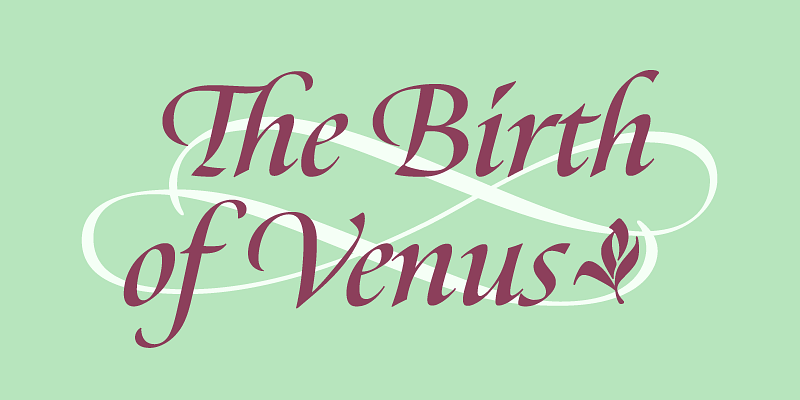 Fonts Styles | Sterling & Burke DC | Engraved Stationery Type Face Offerings | Custom Italic Calligraphic Fonts