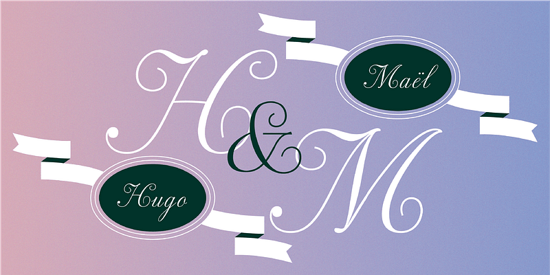 Fonts Styles | Sterling & Burke DC | Engraved Stationery Type Face Offerings | Custom Italic Calligraphic Fonts