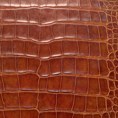 Authentic American Alligator Shoulder Bag | COGNAC, BRIGHT BLUE, DARK PLUM ALLIGATOR | Hand Made in America