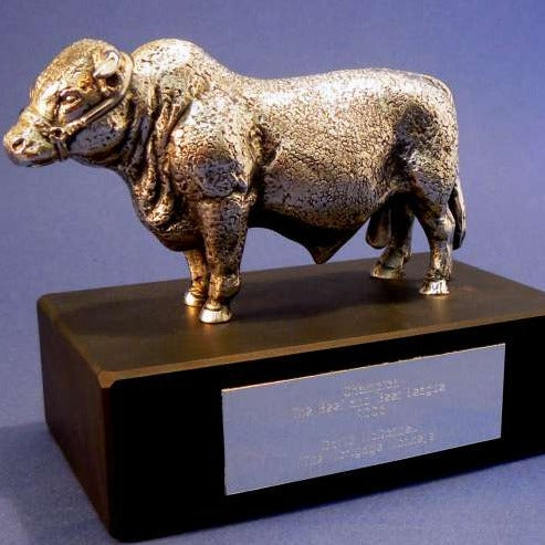 Award Base Options | Superior Quality | Bespoke Base | Mahogany, Rosewood, Slate