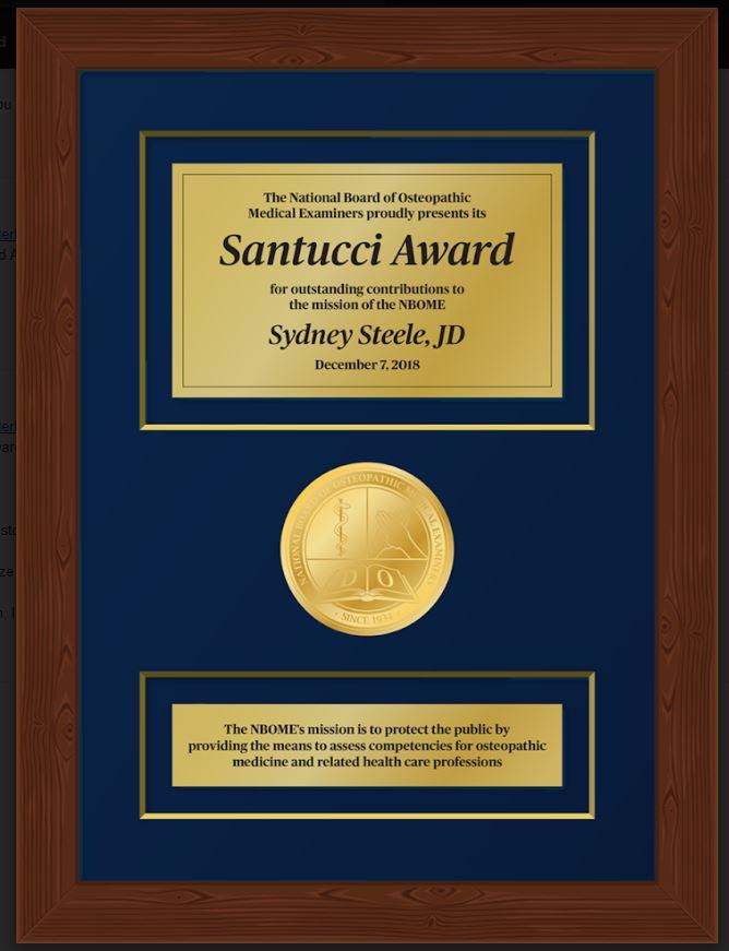 Award in Wood Frame | Superior Quality Bespoke Award | Custom Framed Award | Certificate-Award-Sterling-and-Burke