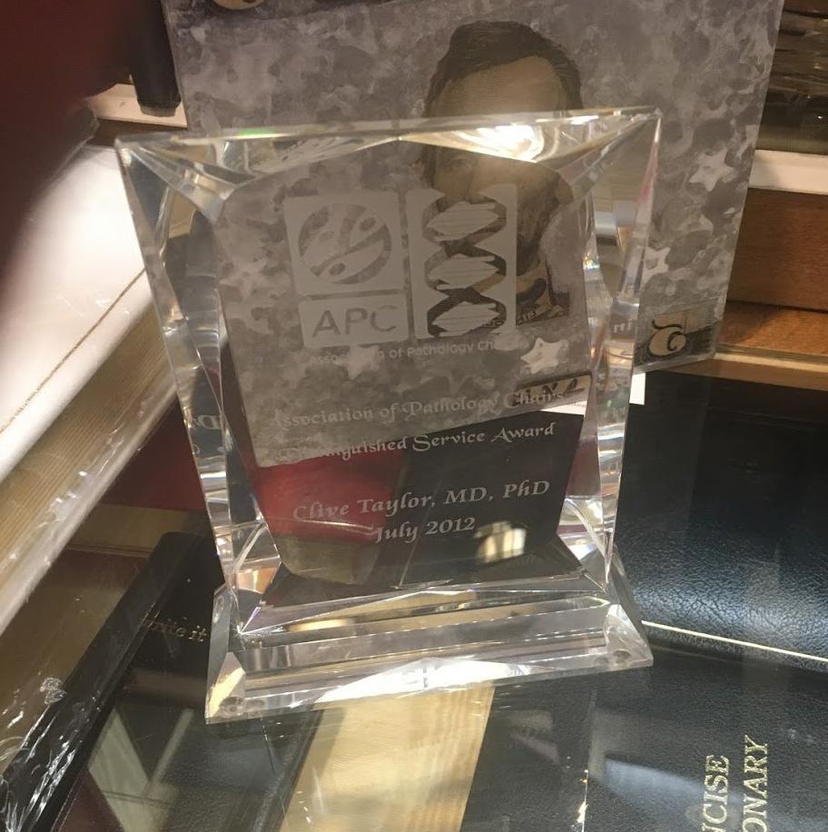 Crystal Awards in DC | Clear Rectangular Crystal Award | 8" Heavy Clear Crystal | Quick Turnaround-Award-Sterling-and-Burke