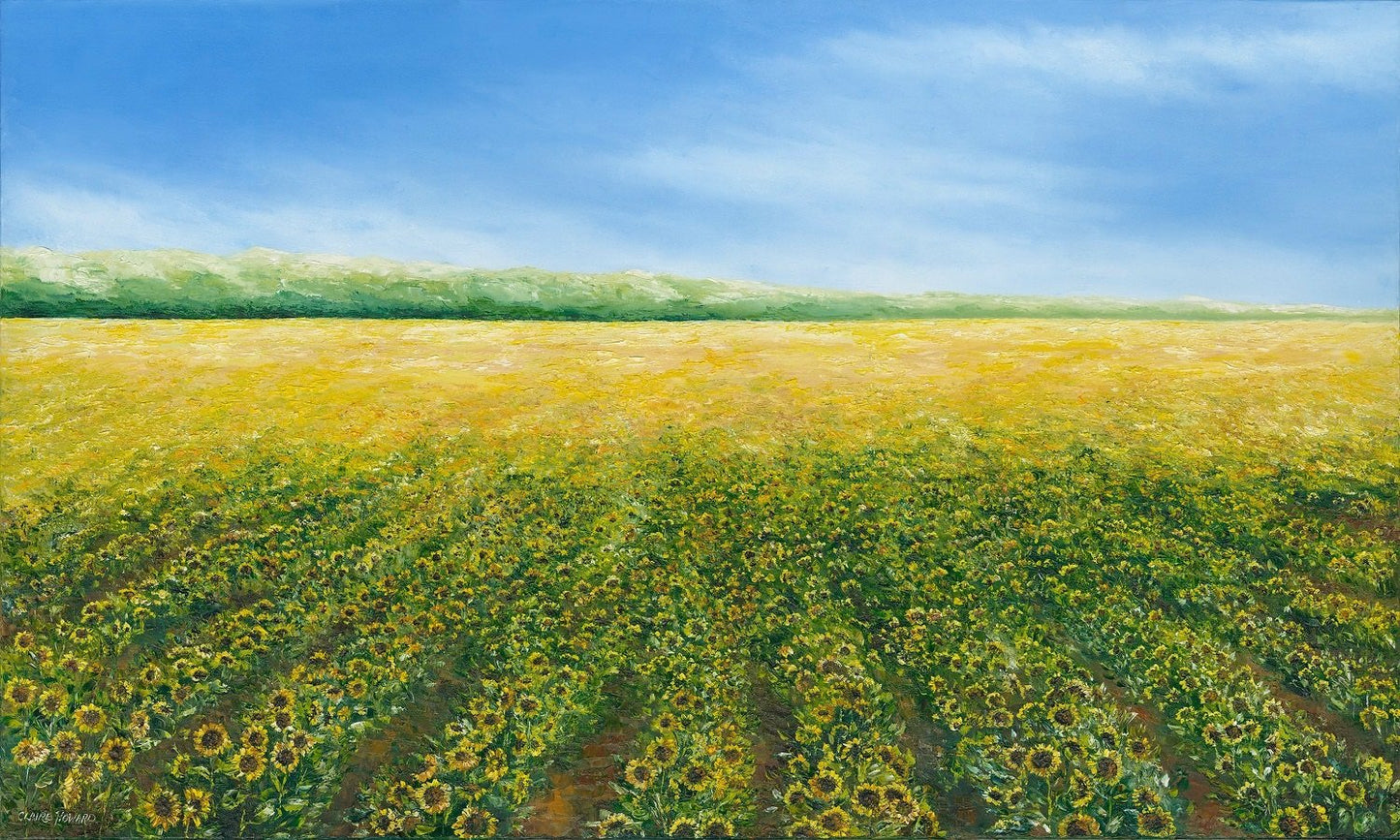 CUSTOM ORDER | Sun Flower Field Original Oil Painting | "Sunlight" | Gallery Wrapped | Artist: Claire Howard | 36 by 60 Inches-Oil Painting-Sterling-and-Burke