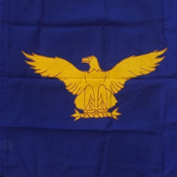 USAF Guidons | Vintage Flag | 28.5 by 19 Inches – STUDIO BURKE DC