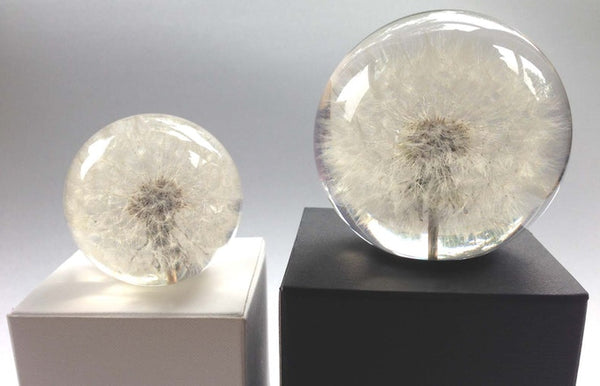 Paperweight Sphere with Dandelion | Round Glass Paperweight | Engraved | Handmade in USA