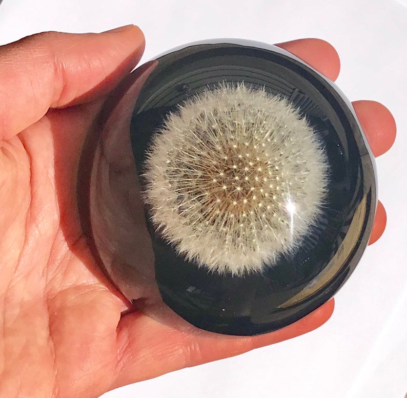 Paperweight Half Circle with Dandelion | Half Round Glass Paperweight | Handmade in USA