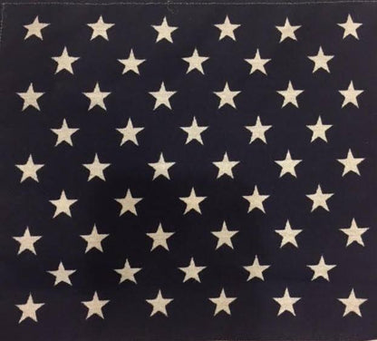 Burlap Flag No.259 | Original Oil Painting with 50 Star American Flag on Burlap by Laura Roosevelt | 32" x 39"-Mixed Media-Sterling-and-Burke