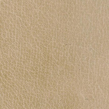 Scottish Goat Skin | Ivory Beige Leather | Studio Burke Ltd | Luxury Bookbinding