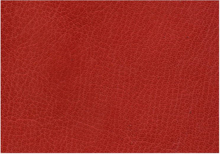 Scottish Goat Skin | Scarlet Red Leather | Studio Burke Ltd | Luxury Bookbinding