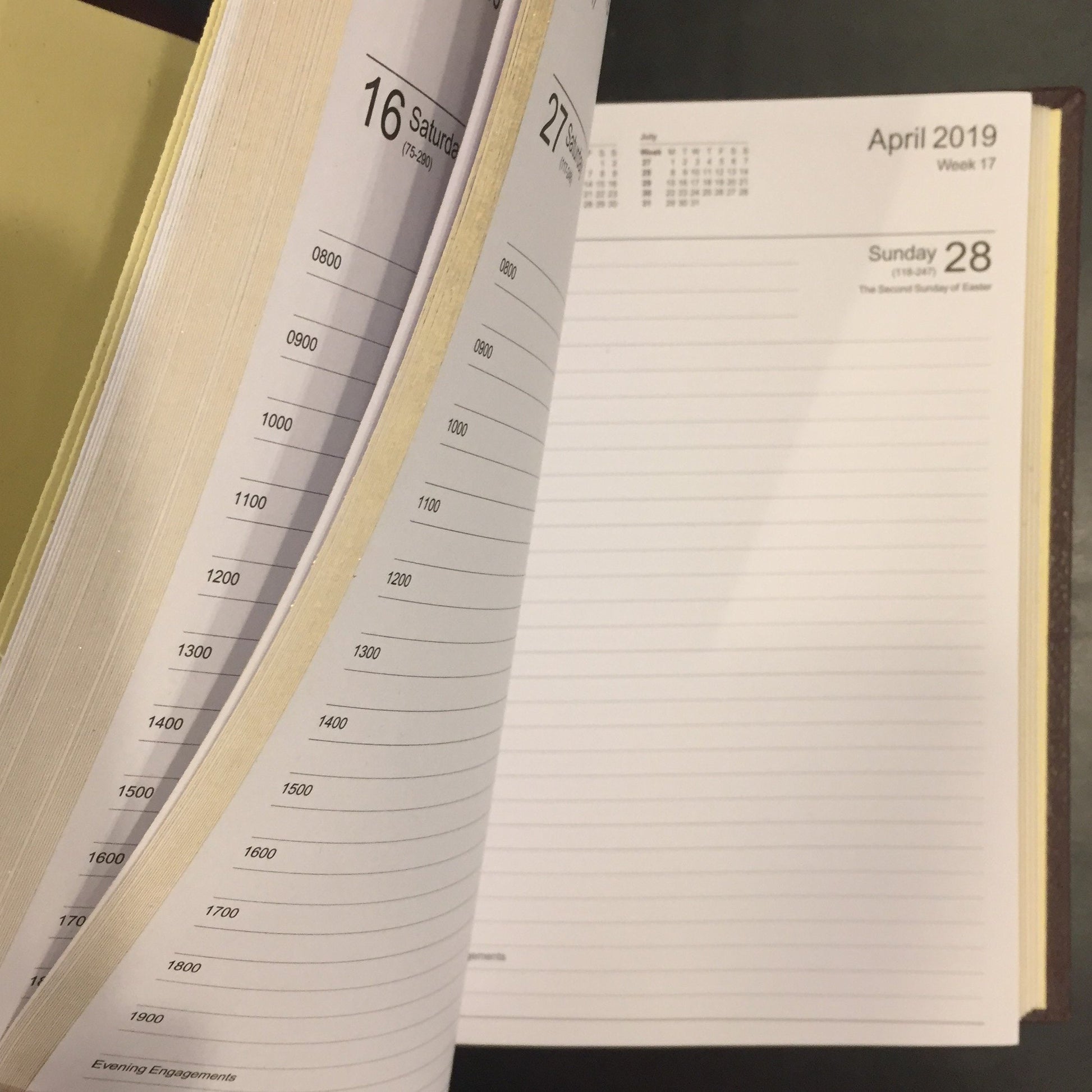 Custom Book | 2019 Diary | 8 by 6 | Desk | D186S | Sterling and Burke | Made in England-Calendar-Sterling-and-Burke